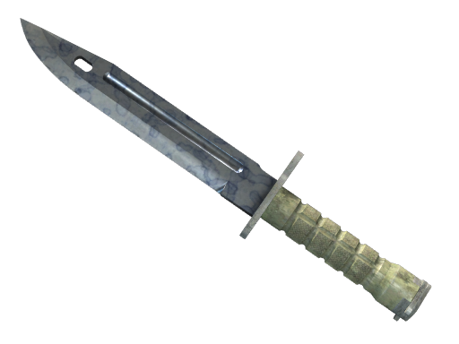 ★ Bayonet | Stained — скин CS2, редкость Covert