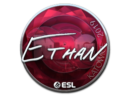 Sticker | Ethan (Foil) | Katowice 2019 — CS2 skin image, Remarkable rarity