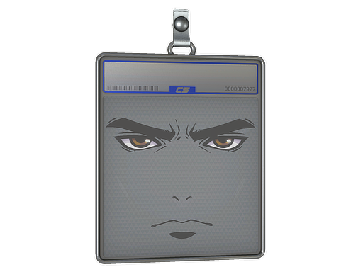 Sticker Slab | Strike A Pose — CS2 skin image, High Grade rarity
