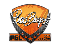 Sticker | pashaBiceps | Krakow 2017 — CS2 skin image, High Grade rarity