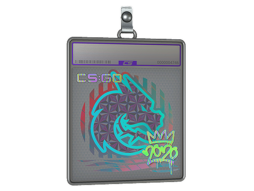 Sticker Slab | Spirit (Holo) | 2020 RMR — CS2 skin image, Remarkable rarity