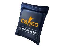 Collectible Pins Capsule Series 1 — CS2 skin image, Base Grade rarity