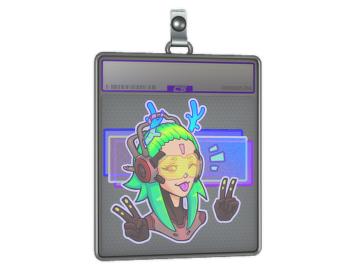 Sticker Slab | V For Victory (Holo) — CS2 skin image, Remarkable rarity
