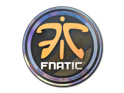 Sticker | Fnatic (Holo) | Cologne 2014 — CS2 skin image, Remarkable rarity