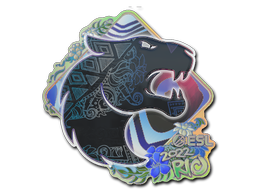 Sticker | FURIA (Holo) | Rio 2022 — CS2 skin image, Exotic rarity