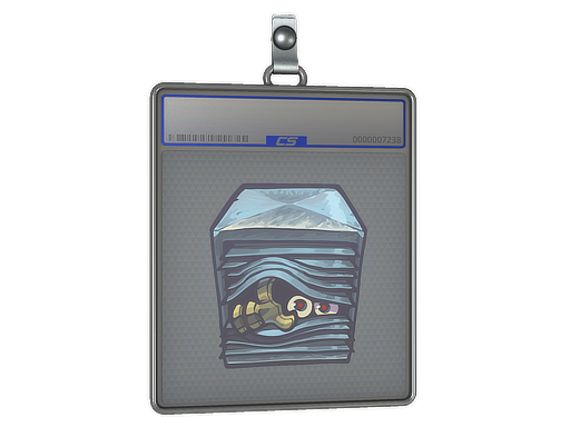 Sticker Slab | Peek-A-Boo — CS2 skin image, High Grade rarity