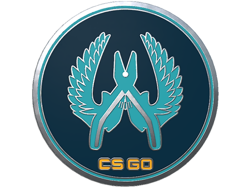 Guardian Pin — CS2 skin image, High Grade rarity