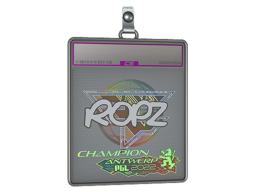 Sticker Slab | ropz (Holo, Champion) | Antwerp 2022 — CS2 skin image, Exotic rarity