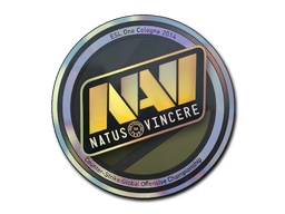 Sticker | Natus Vincere (Holo) | Cologne 2014 — CS2 skin image, Remarkable rarity