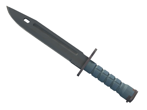 ★ Bayonet | Night — скин CS2, редкость Covert