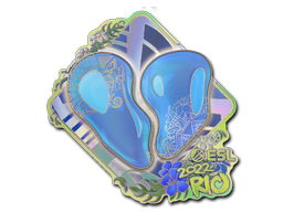 Sticker | 00 Nation (Holo) | Rio 2022 — CS2 skin image, Exotic rarity