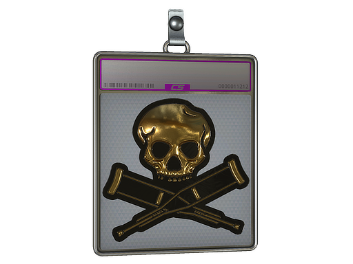 Sticker Slab | Radiograph (Foil) — CS2 skin image, Exotic rarity