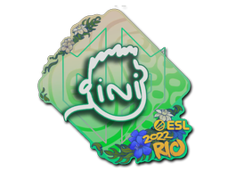 Sticker | VINI | Rio 2022 — CS2 skin image, High Grade rarity