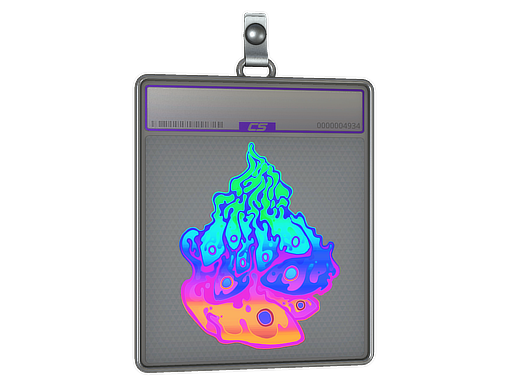 Sticker Slab | Liquid Fire (Holo) — CS2 skin image, Remarkable rarity