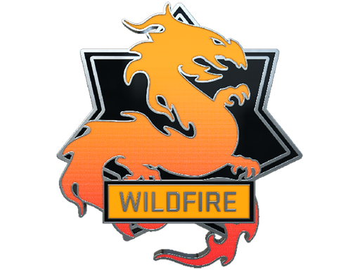 Wildfire Pin — CS2 skin image, Remarkable rarity