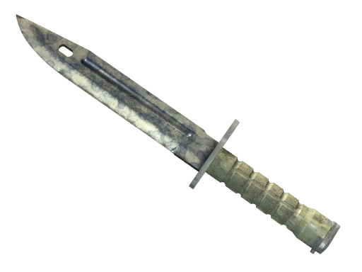 ★ StatTrak™ Bayonet | Stained — CS2 skin,  rarity