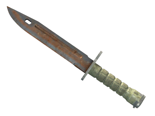 ★ StatTrak™ Bayonet | Rust Coat — CS2 skin,  rarity