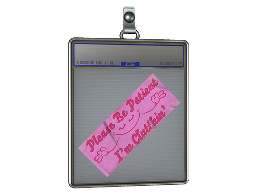 Sticker Slab | Please Be Patient — CS2 skin image, High Grade rarity