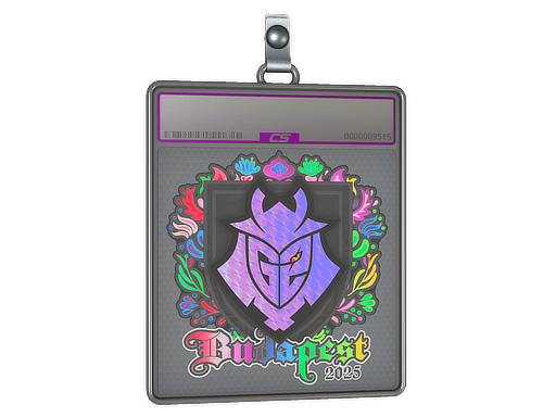 Sticker Slab | G2 esports (Holo) | Budapest 2025 — CS2 skin image, Exotic rarity