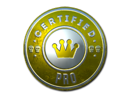 Sticker | The Pro (Foil) — CS2 skin image, Exotic rarity