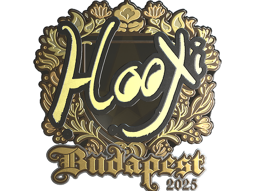 Sticker | HooXi (Gold) | Budapest 2025 — CS2 skin image, Extraordinary rarity