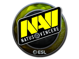 Sticker | Natus Vincere (Foil) | Katowice 2019 — CS2 skin image, Exotic rarity