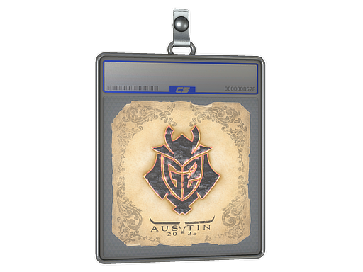 Sticker Slab | G2 Esports | Austin 2025 — CS2 skin image, High Grade rarity