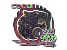 Sticker | FURIA (Holo) | 2020 RMR — CS2 skin image, Remarkable rarity