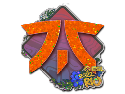 Sticker | Fnatic (Glitter) | Rio 2022 — CS2 skin image, Remarkable rarity