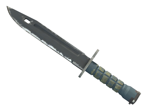 ★ StatTrak™ Bayonet | Night (Well-Worn) — CS2 skin image
