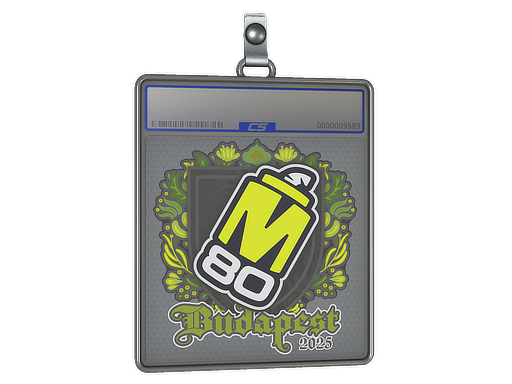Sticker Slab | M80 | Budapest 2025 — CS2 skin image, High Grade rarity