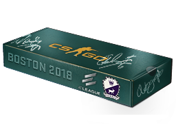 Boston 2018 Cobblestone Souvenir Package — CS2 skin image, Base Grade rarity