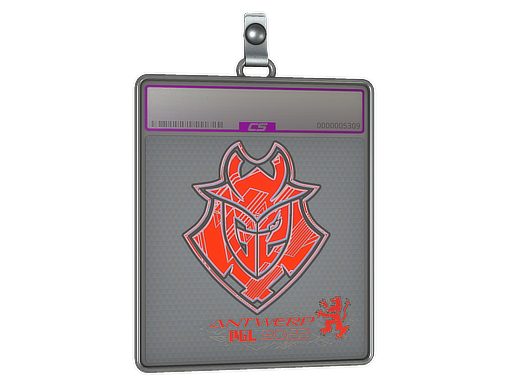 Sticker Slab | G2 Esports (Holo) | Antwerp 2022 — CS2 skin image, Exotic rarity