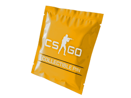 Collectible Pins Capsule Series 3 — CS2 skin image, Base Grade rarity