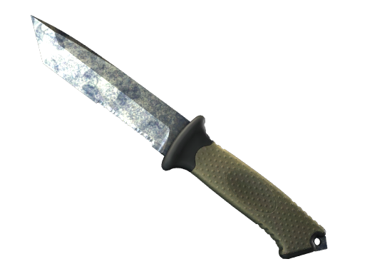 ★ StatTrak™ Ursus Knife | Stained — CS2 skin,  rarity