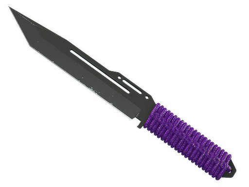 ★ StatTrak™ Paracord Knife | Ultraviolet (Field-Tested) — CS2 skin image
