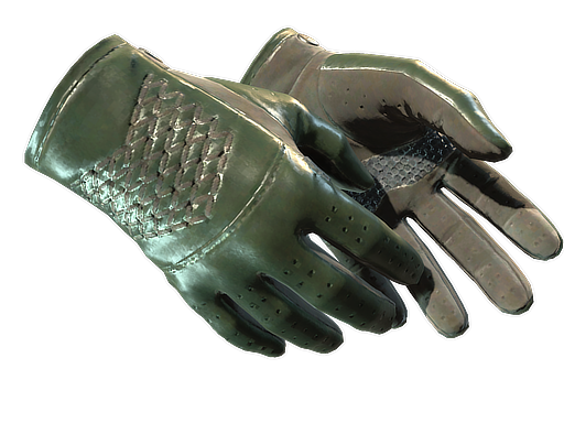 ★ Driver Gloves | Racing Green (Well-Worn) — изображение скина CS2, редкость Extraordinary