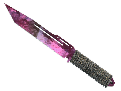 ★ Paracord Knife | Doppler Phase 2 — CS2 skin, Covert rarity