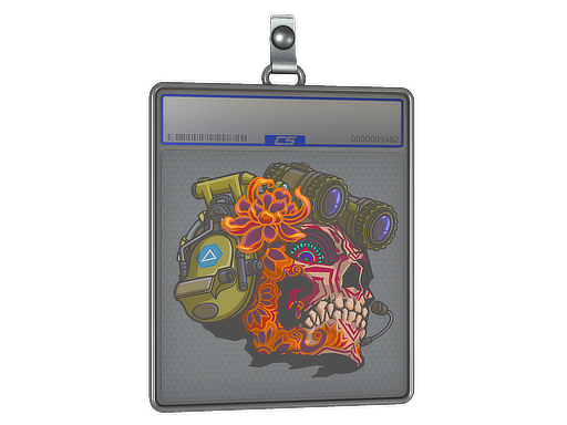 Sticker Slab | Lucas — CS2 skin image, High Grade rarity