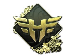 Sticker | Heroic (Gold) | Rio 2022 — CS2 skin image, Extraordinary rarity