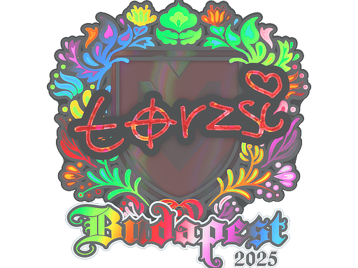 Sticker | torzsi (Holo) | Budapest 2025 — CS2 skin image, Exotic rarity
