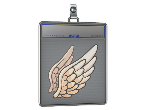 Sticker Slab | Fly High — CS2 skin image, High Grade rarity