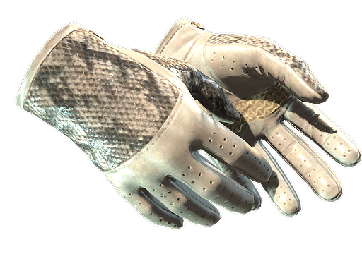 ★ Driver Gloves | King Snake (Field-Tested) — изображение скина CS2, редкость Extraordinary