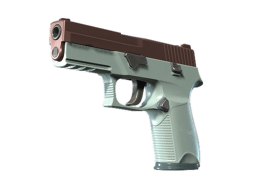 P250 | Copper Oxide (Field-Tested) — изображение скина CS2, редкость Consumer Grade