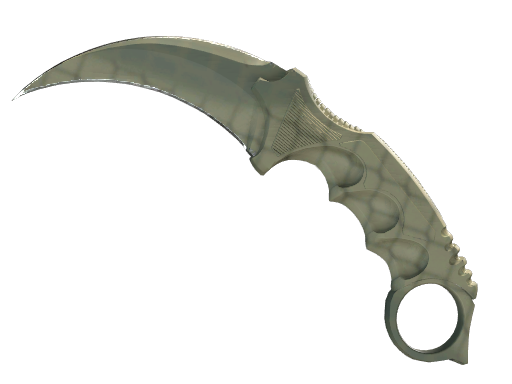 ★ StatTrak™ Karambit | Safari Mesh — CS2 skin,  rarity