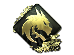 Sticker | Team Spirit (Gold) | Rio 2022 — CS2 skin image, Extraordinary rarity