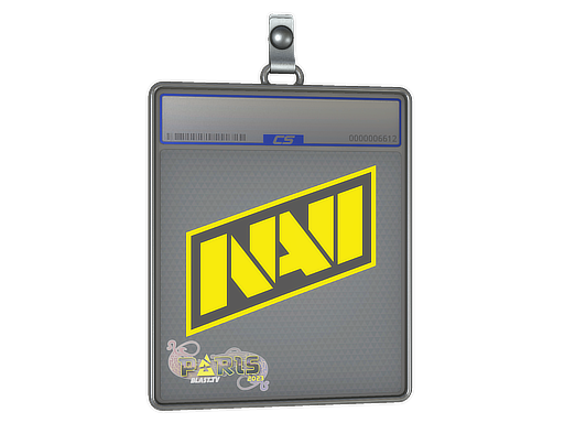 Sticker Slab | Natus Vincere | Paris 2023 — CS2 skin image, High Grade rarity