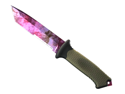 ★ Ursus Knife | Doppler Phase 2 (Factory New) — CS2 skin image, Covert rarity