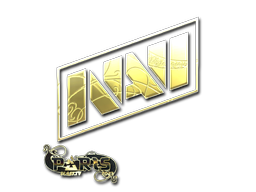 Sticker | Natus Vincere (Gold) | Paris 2023 — CS2 skin image, Extraordinary rarity