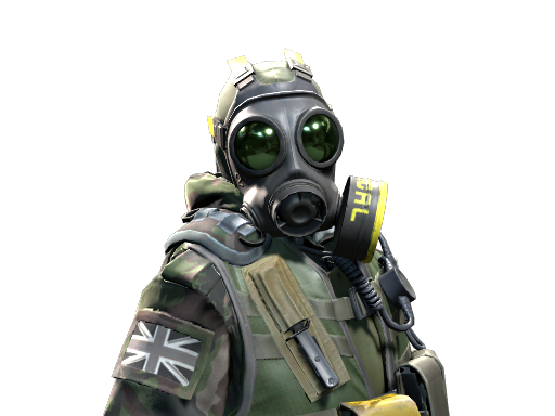 B Squadron Officer | SAS — изображение скина CS2, редкость Distinguished